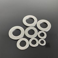 Stainless Steel Ss 316 Fasteners Bolts & Nuts Manufacturers Structural Flat Washers