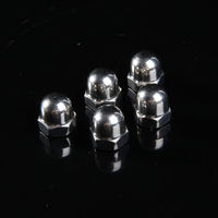 Useful High Standard Steel Cap Nuts with Good with High Hardness