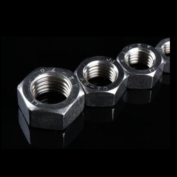 Stainless Steel Hexagonal Nut