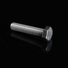 SS 304 Fasteners Hex Bolt