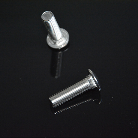Stainless Steel Carriage Bolts