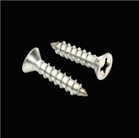 Stainless Steel Cross Countersunk Head Tapping Screws