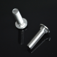 China Cheapest Carriage Bolt Fastener with Best Service